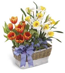 Joyful Spring Planter